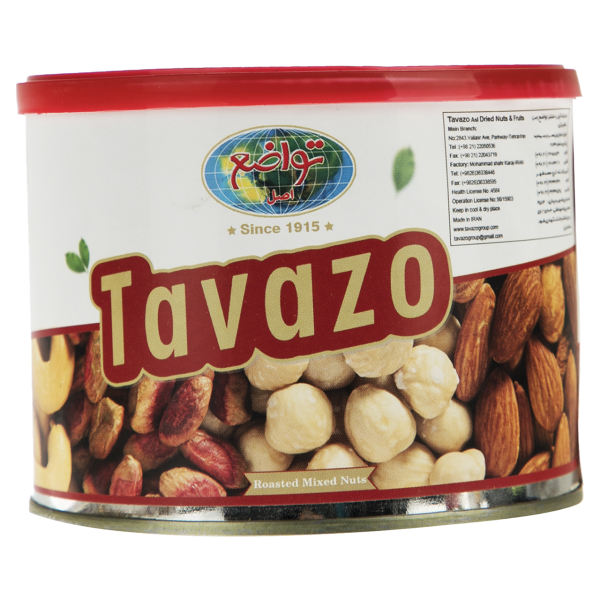 Salted Shelled Mixed Nuts in 250 gr. Tin - Tavazo Corporation