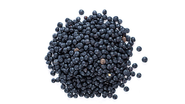 Beluga Lentils