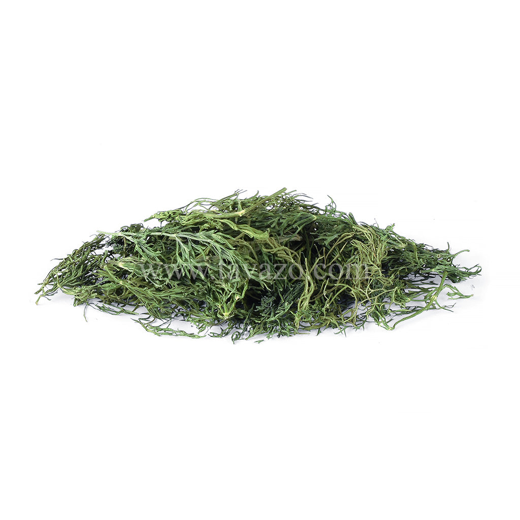 dried dill