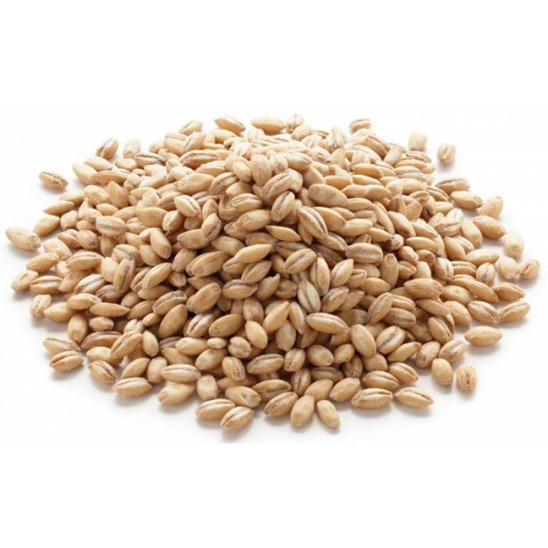 Wheat (Sabze) - Tavazo Corporation