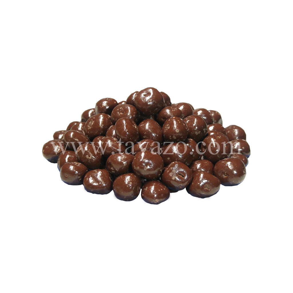 Chocolate Covered Ginger Chunks - Tavazo Corporation